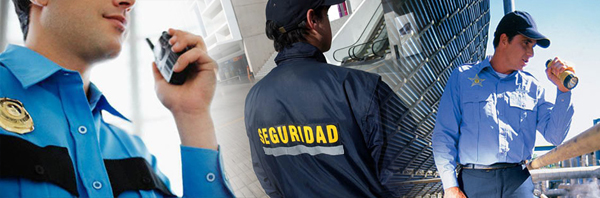 Seguridad Alarmas MS
